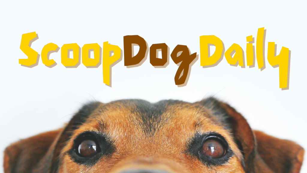 scoop-dog-daily-cover-pic